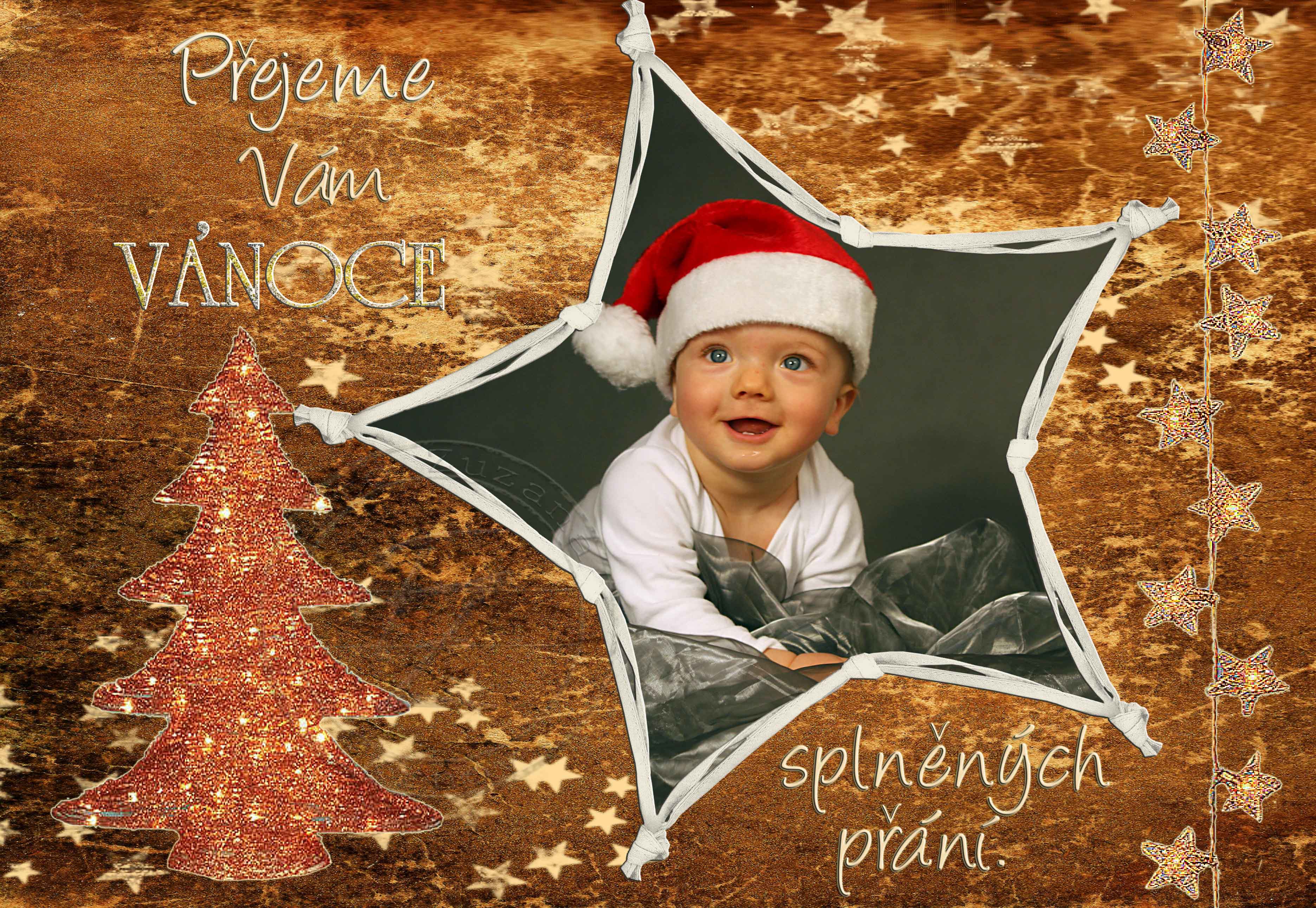 Vanoce trpitive sirka w